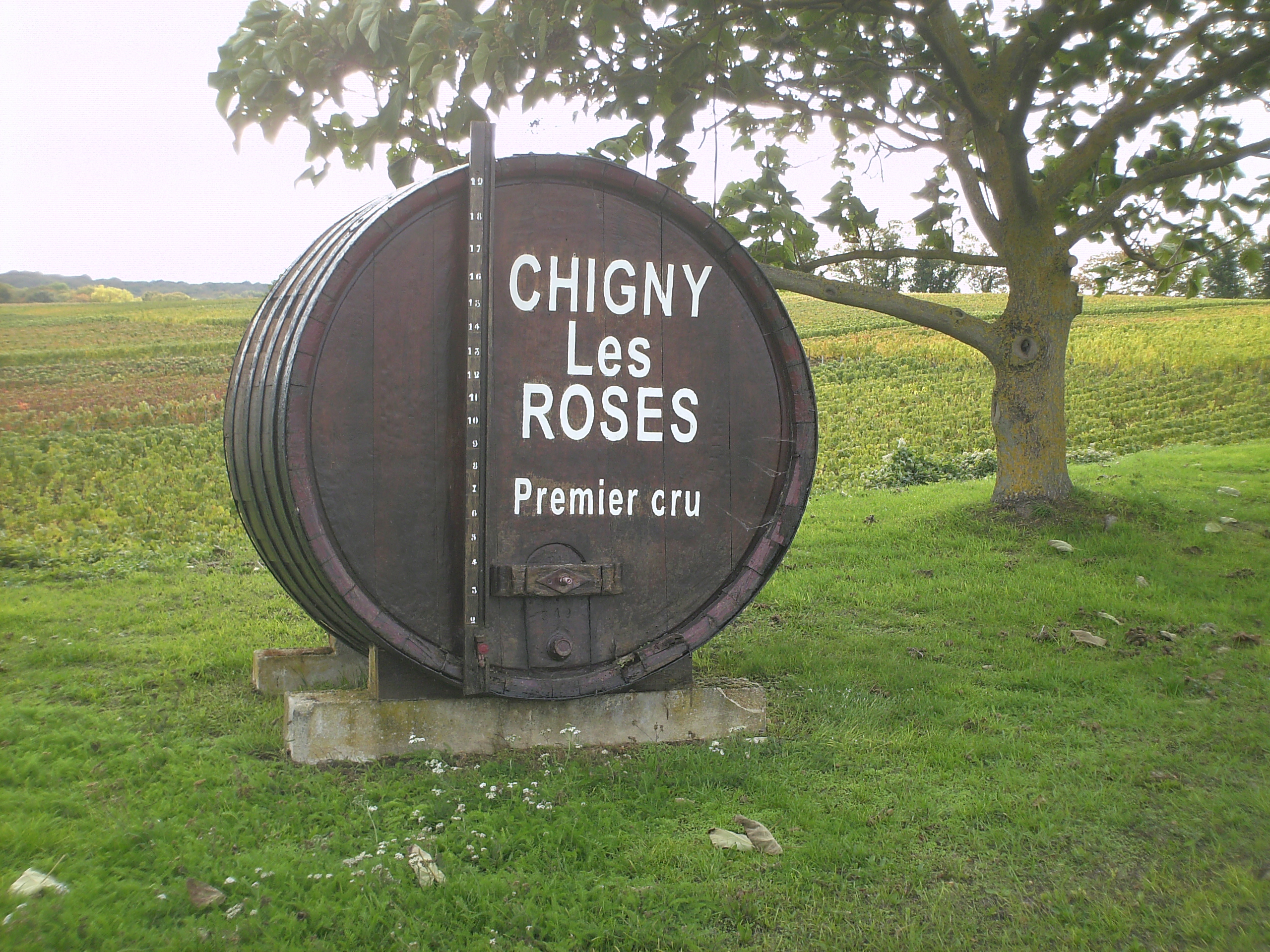 Notre rando à Chigny-les-Roses