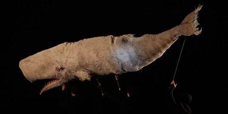 Audiodescription de Moby Dick au Manège de Reims