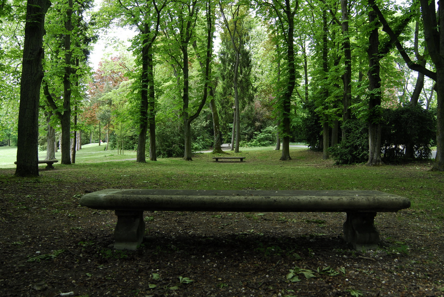 Balade au Parc de Champagne