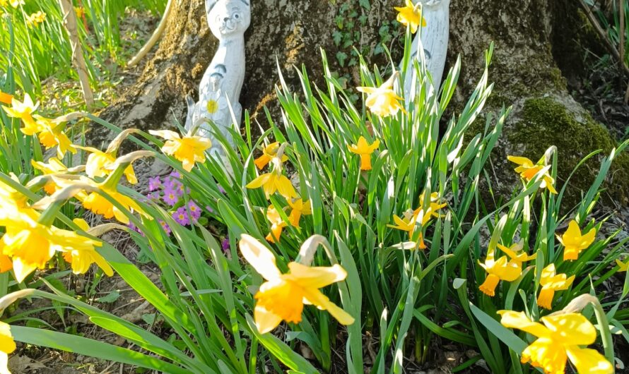 Le printemps arrive au PotaGEM