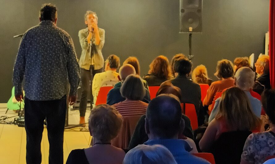 Concert électrique et mélodique de Vaillant 1er au Cafegem