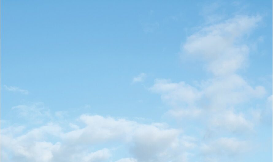 Matteo Pereira : exposition du 17 janvier au 14 février