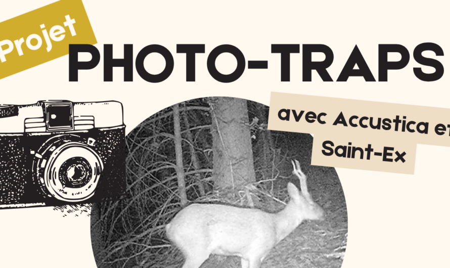 Projet photo-traps au PotaGEM